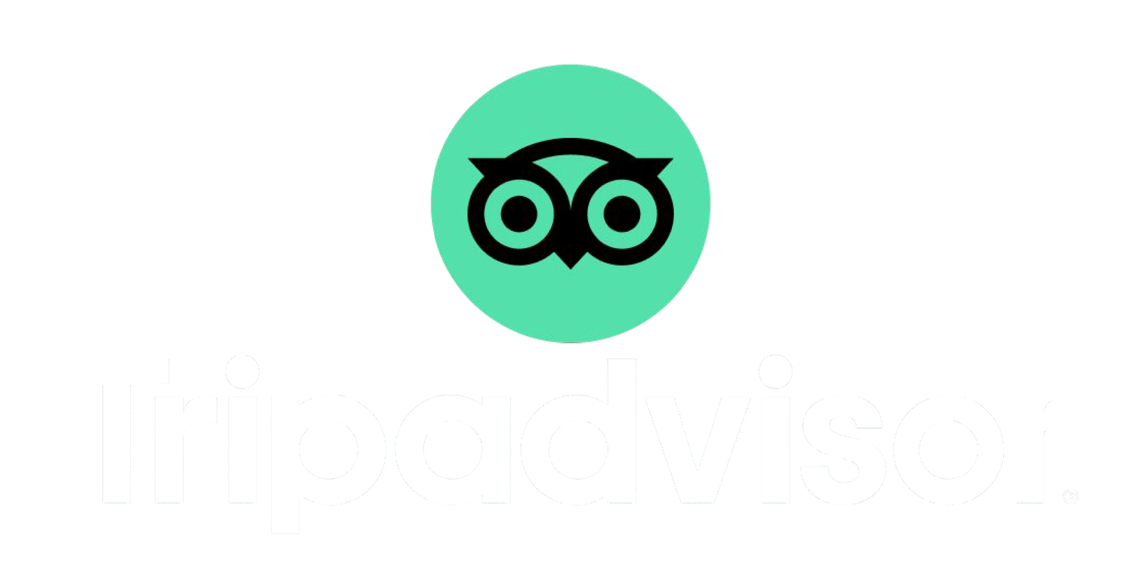 Tripadvisor-Logo-PNG6